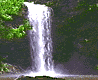 landscape21.gif